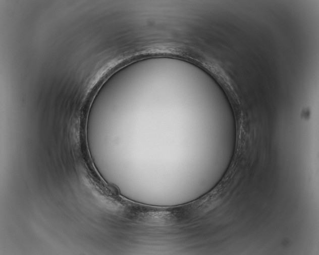 X0000116290108200912141321