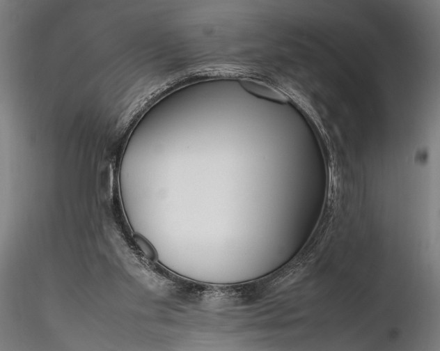 X0000116290109200912141321