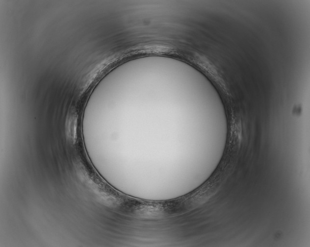 X0000116290110200912141321