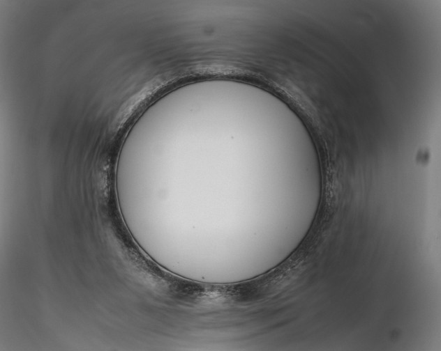 X0000116290111200912141321