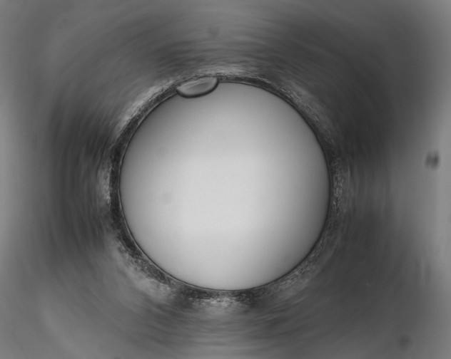 X0000116290112200912141321