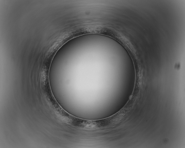 X0000116290113200912141321