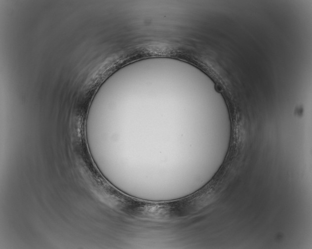 X0000116290117200912141321