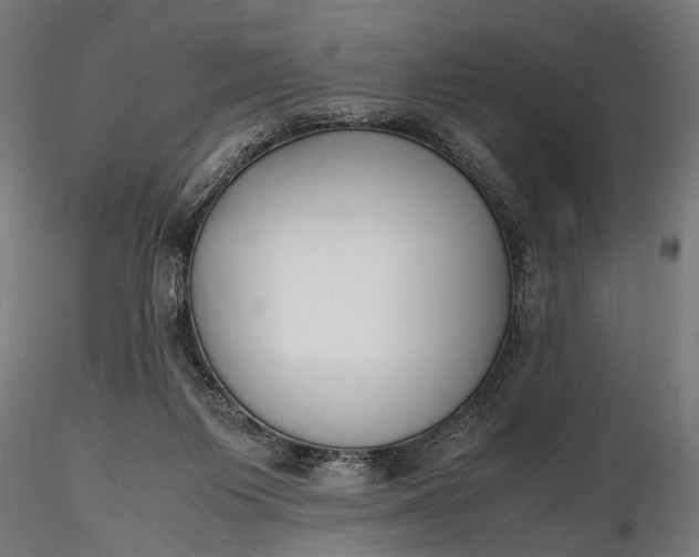 X0000116290119200912141321