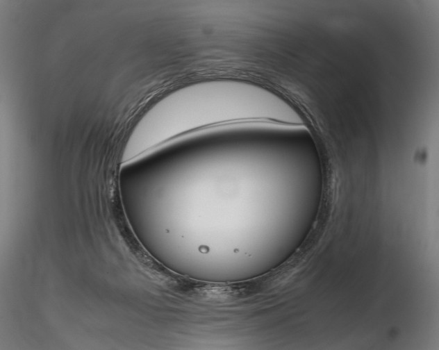 X0000116290121200912141321