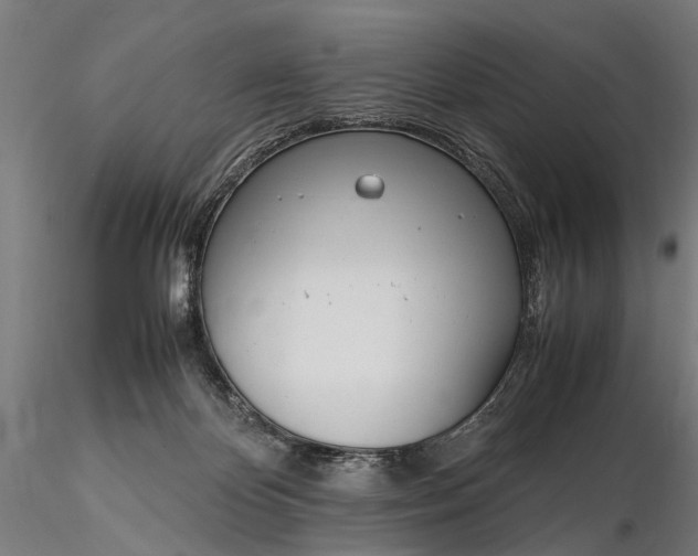 X0000116290124200912141321