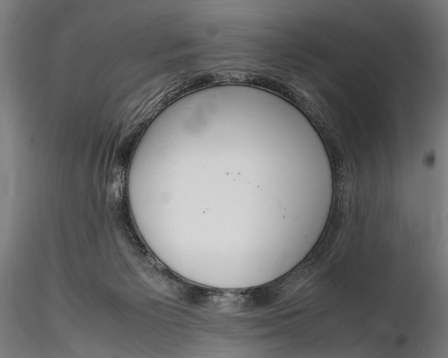 X0000116290125200912141321