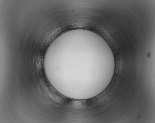 X0000116290126200912141321