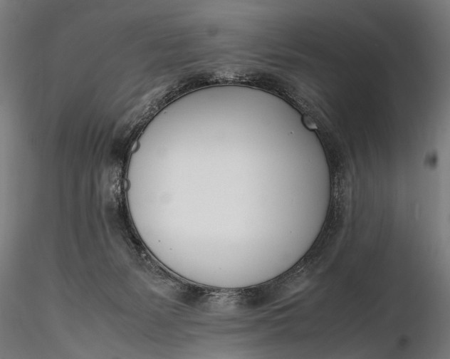 X0000116290127200912141321