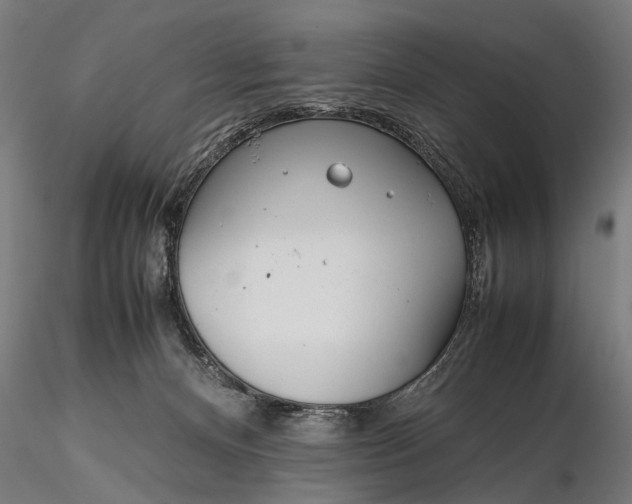 X0000116290128200912141321