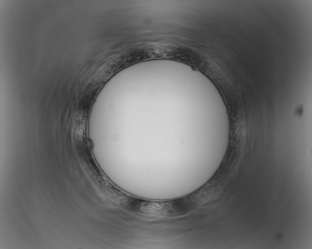 X0000116290129200912141321