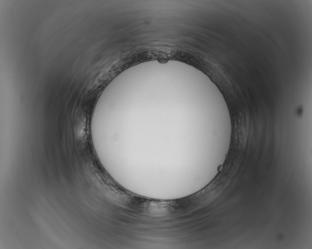 X0000116290134200912141321