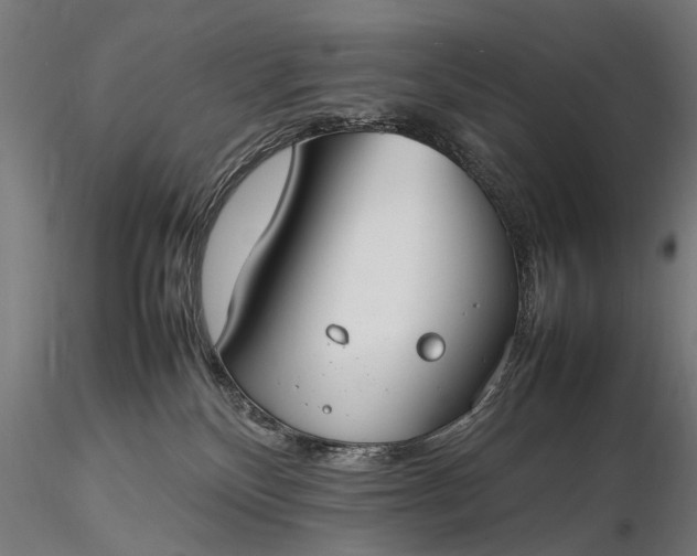 X0000116290136200912141321