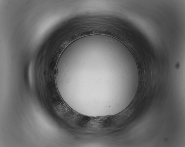 X0000116290140200912141321