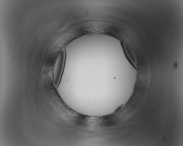 X0000116290141200912141321