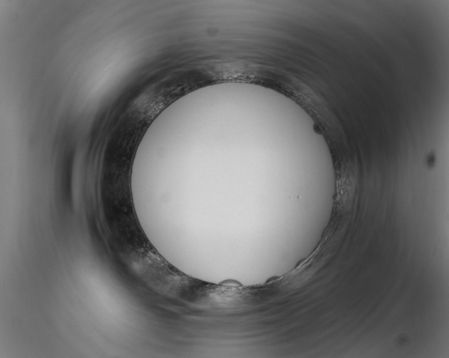 X0000116290142200912141321