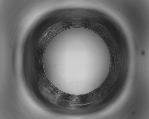 X0000116290143200912141321