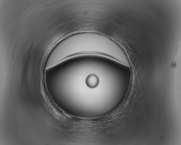 X0000116290145200912141320