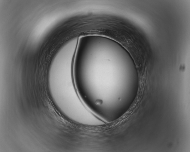 X0000116290146200912141320