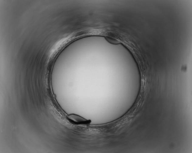 X0000116290149200912141320