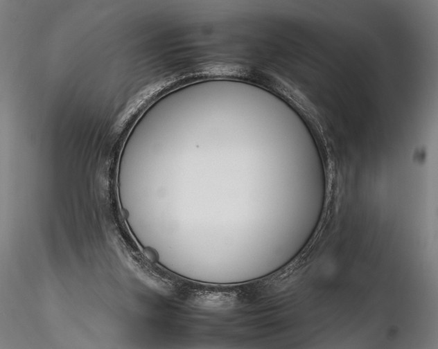 X0000116290155200912141320