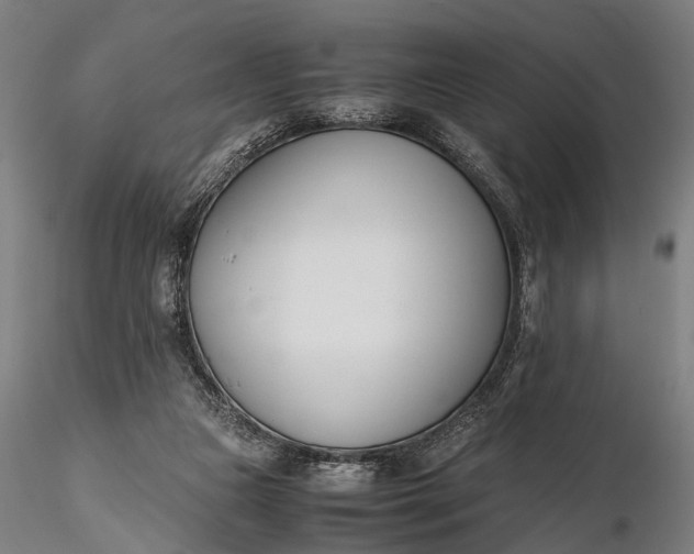 X0000116290161200912141320