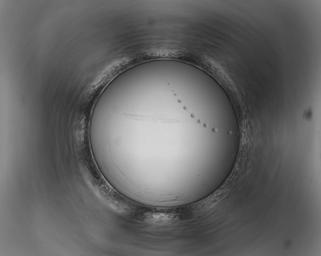 X0000116290163200912141320