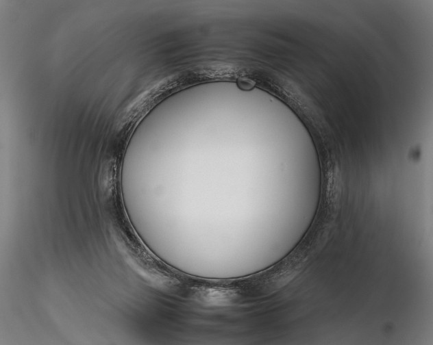 X0000116290165200912141320