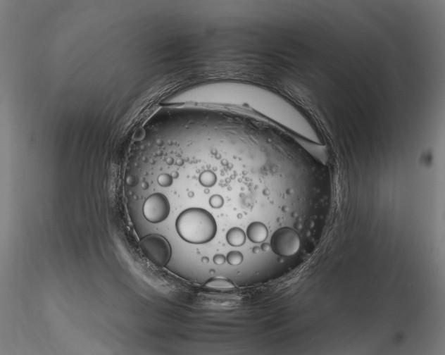 X0000116290167200912141320