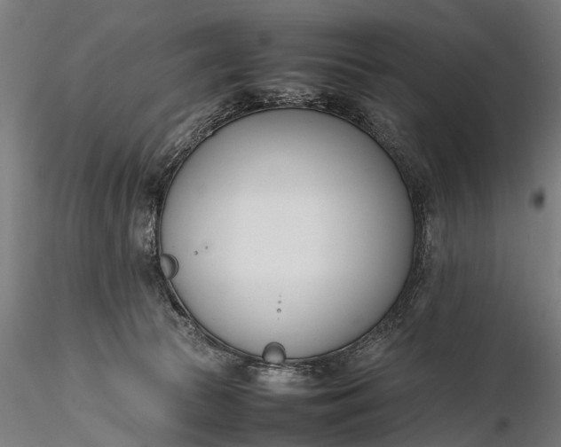 X0000116290177200912141320