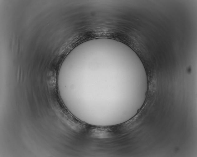 X0000116290179200912141320