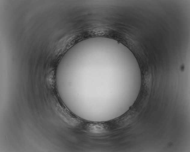 X0000116290181200912141320