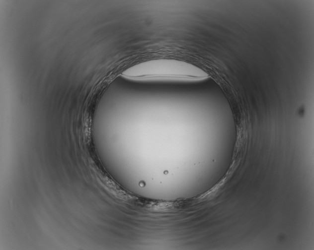 X0000116290186200912141320