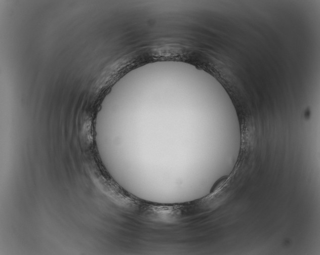 X0000116290187200912141320