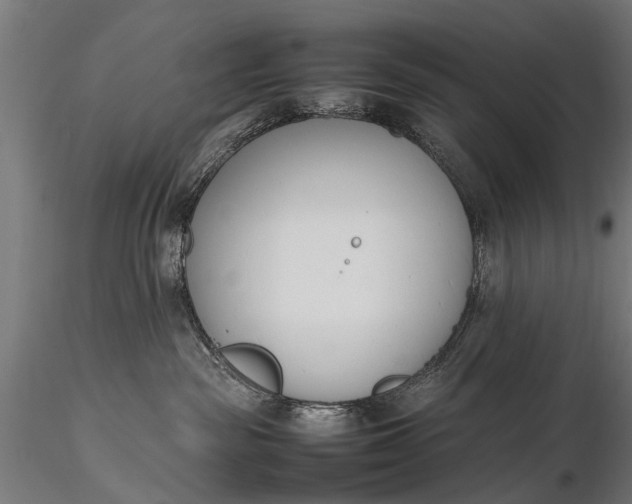 X0000116290189200912141321