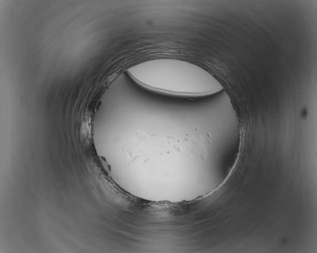 X0000116290190200912141321