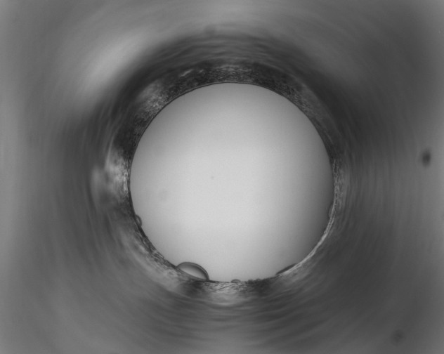 X0000116290191200912141321