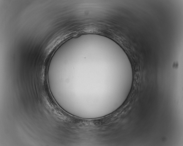 X0000116290194200912141320