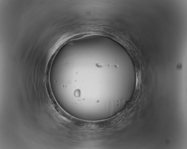 X0000116290195200912141320