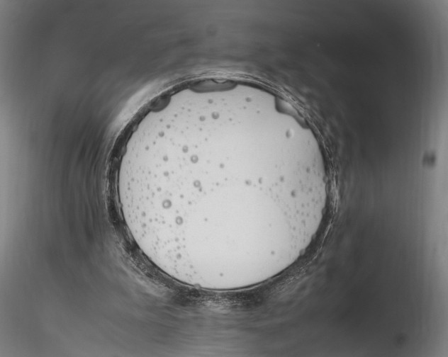 X0000116290199200912141320