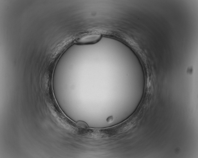 X0000116290201200912141320