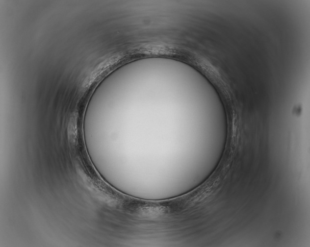 X0000116290202200912141320