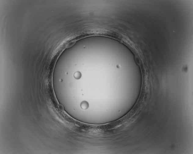 X0000116290203200912141320