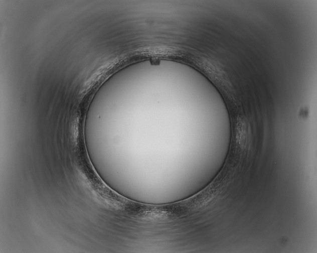 X0000116290206200912141320