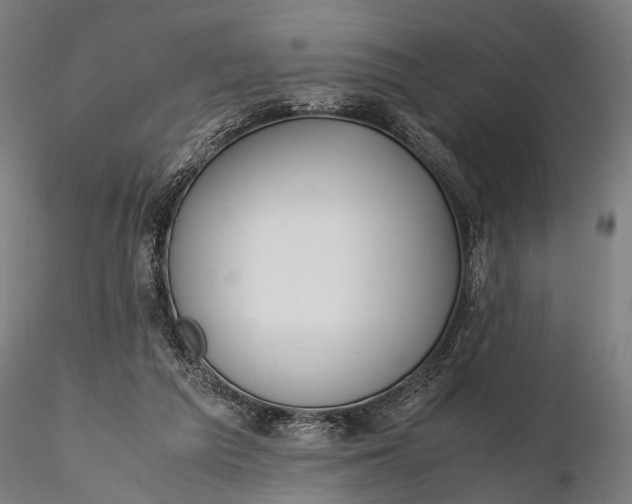 X0000116290209200912141319