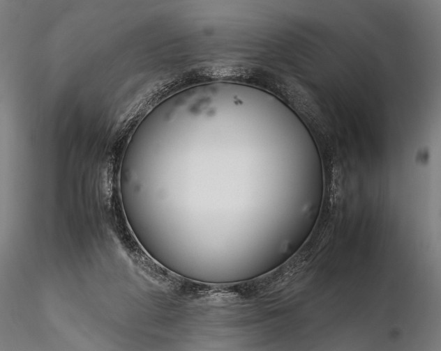 X0000116290210200912141319