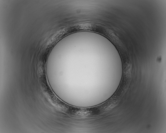 X0000116290213200912141319