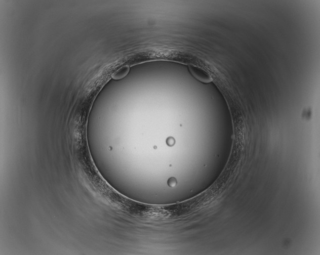 X0000116290215200912141319