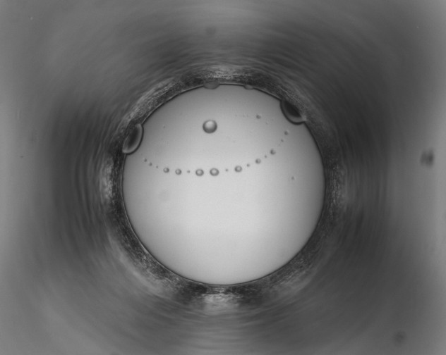 X0000116290216200912141319