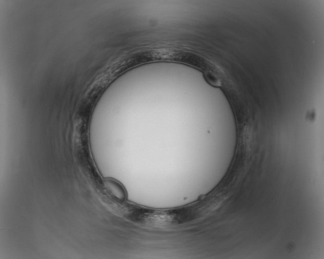 X0000116290217200912141319